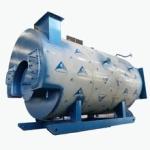 High Heat Efficiency Gas Fired Steam Boiler For Hospital Disinf Industries