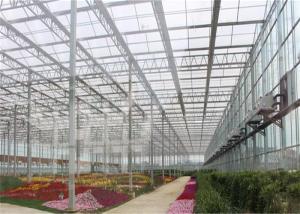 Wholesale Fish Farming Low Cost Greenhouse , Modular Glass Greenhouse Long Lifetime from china suppliers