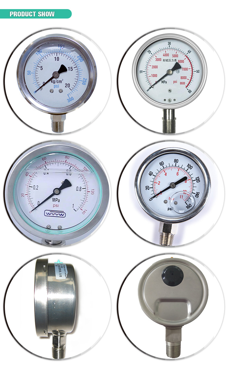 Bottom Mount Liquid Filled Pressure Gauge Standard EN 837-1 YTN-100