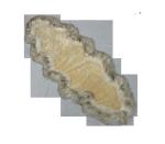 Bedroom Washable Faux Sheepskin Chair Pad For Seat PELT