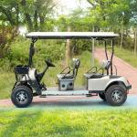 Yellow color 2 Rows 4 Seater Off-Road Golf Cart Customizable Color With Front