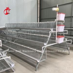 Wholesale Cold Galvanized Poultry Battery Cage System 40 doors Egg Laying Chicken Cage Adela from china suppliers