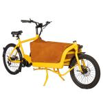 High Capacity Ebike Electric Bike with Rainproof Front Wooden Box and 36V 13Ah