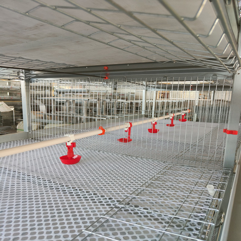H Type Broiler Cage With Poultry Drinking System