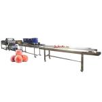 Hot selling Uv Ozone Fruit Vegetable Cleaner And Washer On Sale by Huafood