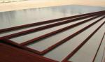 Hardwood Construction External Ply Sheets / First Class Grade Film Faced Marine