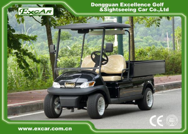2 Seater Electric Golf Utility Carts Electric Hotel Buggy Car with Aluminium