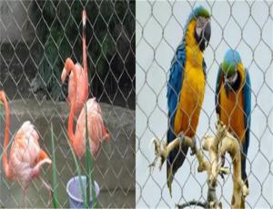Wholesale Soft Flexible Wire Rope Mesh Net SS316 Material Wire For Bird And Animal from china suppliers