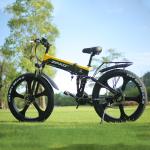 Folding Full Suspension Fat Tire Electric Bike 1000W 48V 26"*4.0 Snow Tire Disc