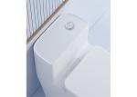 China Supply Sanitary Ware Bathroom Sanitary Washdown One Piece WC Toilets Sets
