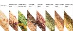 Soft Taste Sweet Flavor Gluten Protein Energy Bars Free Energy Give Nutrition