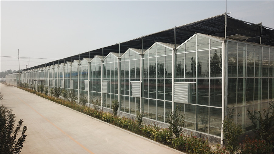 Multi-Span Film Greenhouse Roll Up Motor with 60N/M Torque in Red Blue and Yellow
