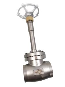 Wholesale PN40 DN65 SS304/316 Socket Weld Globe Valve Cryogenic Type from china suppliers
