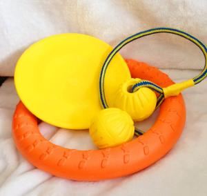 Wholesale 20CM Polyurethane Dog Training Pet Flying Saucer Plate PU Foaming from china suppliers