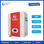Lifepo4 Lithium Ion Battery Pack Powerwall Wall Mounted Battery 48V 100Ah 12V