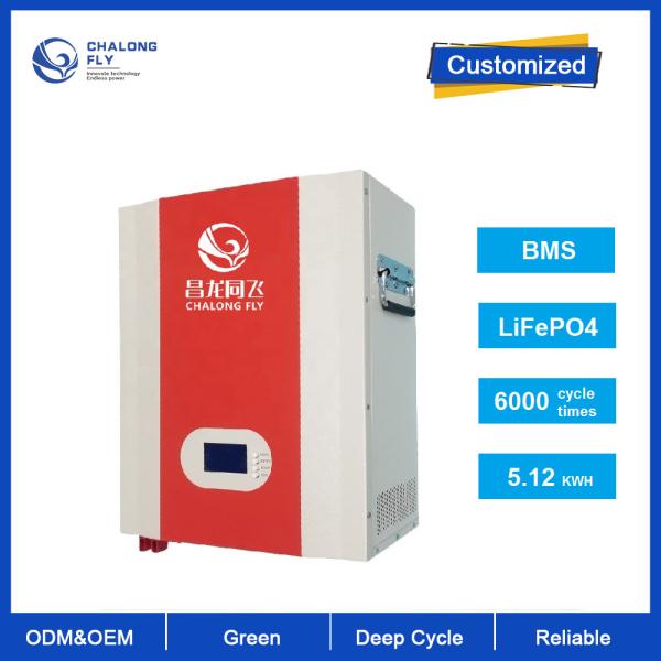 Lifepo4 Lithium Ion Battery Pack Powerwall Wall Mounted Battery 48V 100Ah 12V