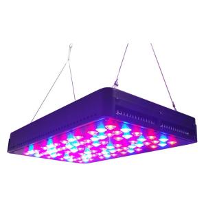 Wholesale 5w chip led grow light switchable,200w from china suppliers