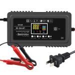OLP Protection Private Mold 12V 12A 24V 6A Lead Acid Battery Charger for Car