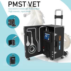 Wholesale Equine Magneto Therapy EMTT PEMF Physiotherapy Machine For Muscle Swelling And Inflammation from china suppliers