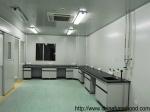 Chemical Lab Cabinet Manufacturer / Lab Wall Work Counter China / Laboratory