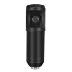 Suspension Scissor Arm V800 14.56 Inch Condenser Mics