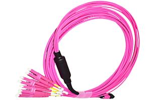 Wholesale Multimode Type B Duplex OM4 Fiber Optic Cable LC UPC LSZH MPO Breakout Cable from china suppliers