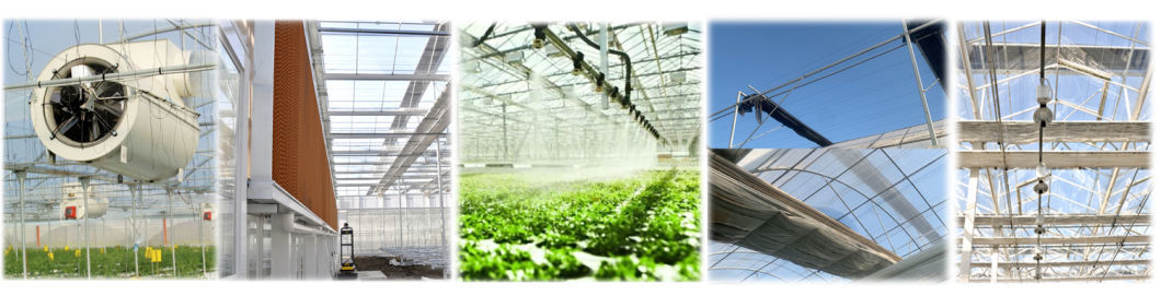 Economical Department Plastic Greenhouse With Hydroponics And Temporary Heating