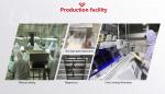 Fumigation Free 10ppm 100 cfu/G Dehydrated Garlic Cloves