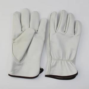 Wholesale High Quality Outdoor Riding Glove Cowhide Leather Gloves Training Cycling Gloves from china suppliers