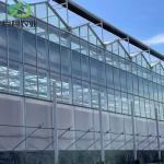Double Layer JX-Glass Green House for Vegetable/Flower/Fruits Automatic