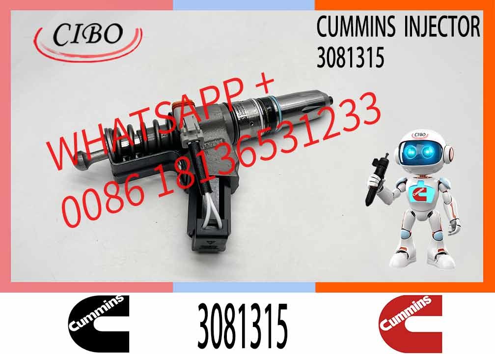 Diesel Fuel Injector 3081315 3073995F 3083846T 3083848F 3411766F 3080931F 3087558F for Cummins QSN14 N14