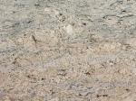 White Ice Granite Slab Countertop Brazil Imported Modern Kitchen Granite
