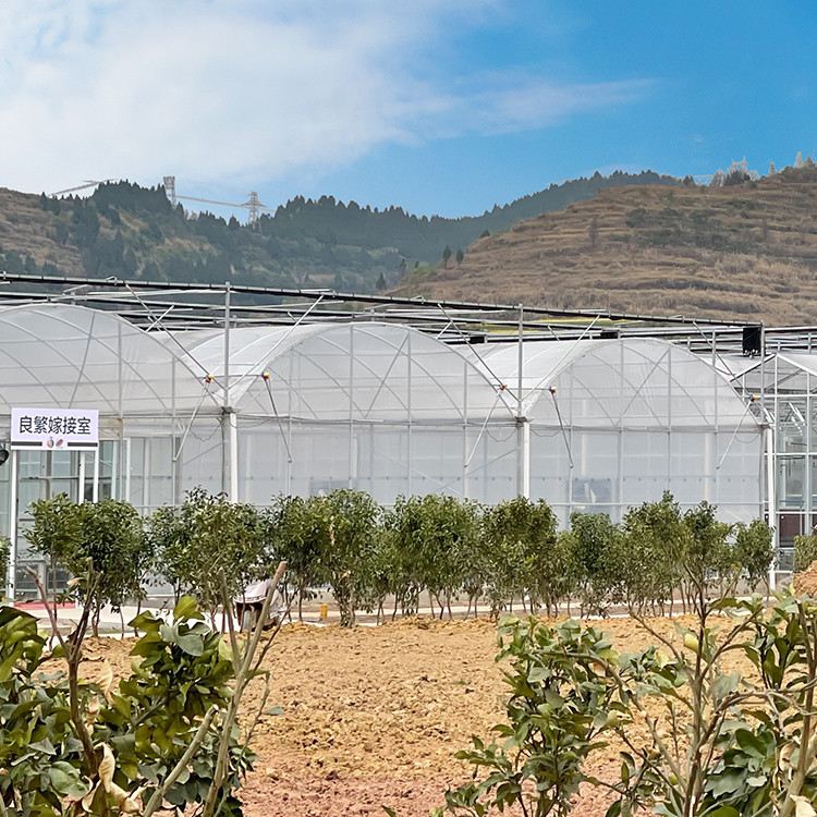 Hot Sale Factory Direct Sales Greenhouse Pipe Galvanized Steel Pipe For Multi Span Greenhouse