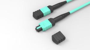 Wholesale OM4 LSZH Fiber Optic Patch Cable 12 Fibers MPO MTP Trunk Cable from china suppliers
