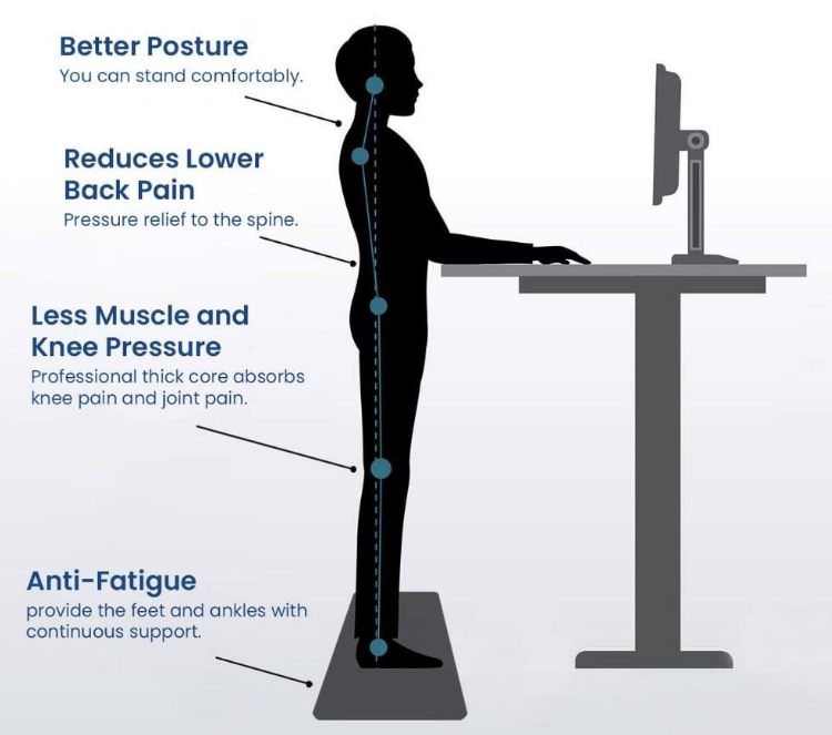 Customizable Electric Height Adjustable Standing Workstation for 60 KG Weight Capacity