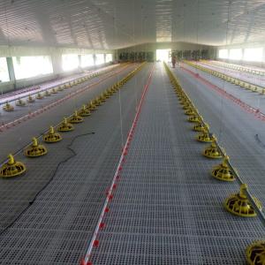 Wholesale Anti Slip Broiler Floor System Standard for Superior Performance from china suppliers