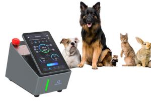 Wholesale 810nm Pet Laser Therapy Machine Inflammation Treatment from china suppliers