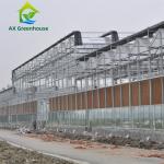 Waterproof Multispan Agricultural Glass Greenhouse Large Venlo Shading