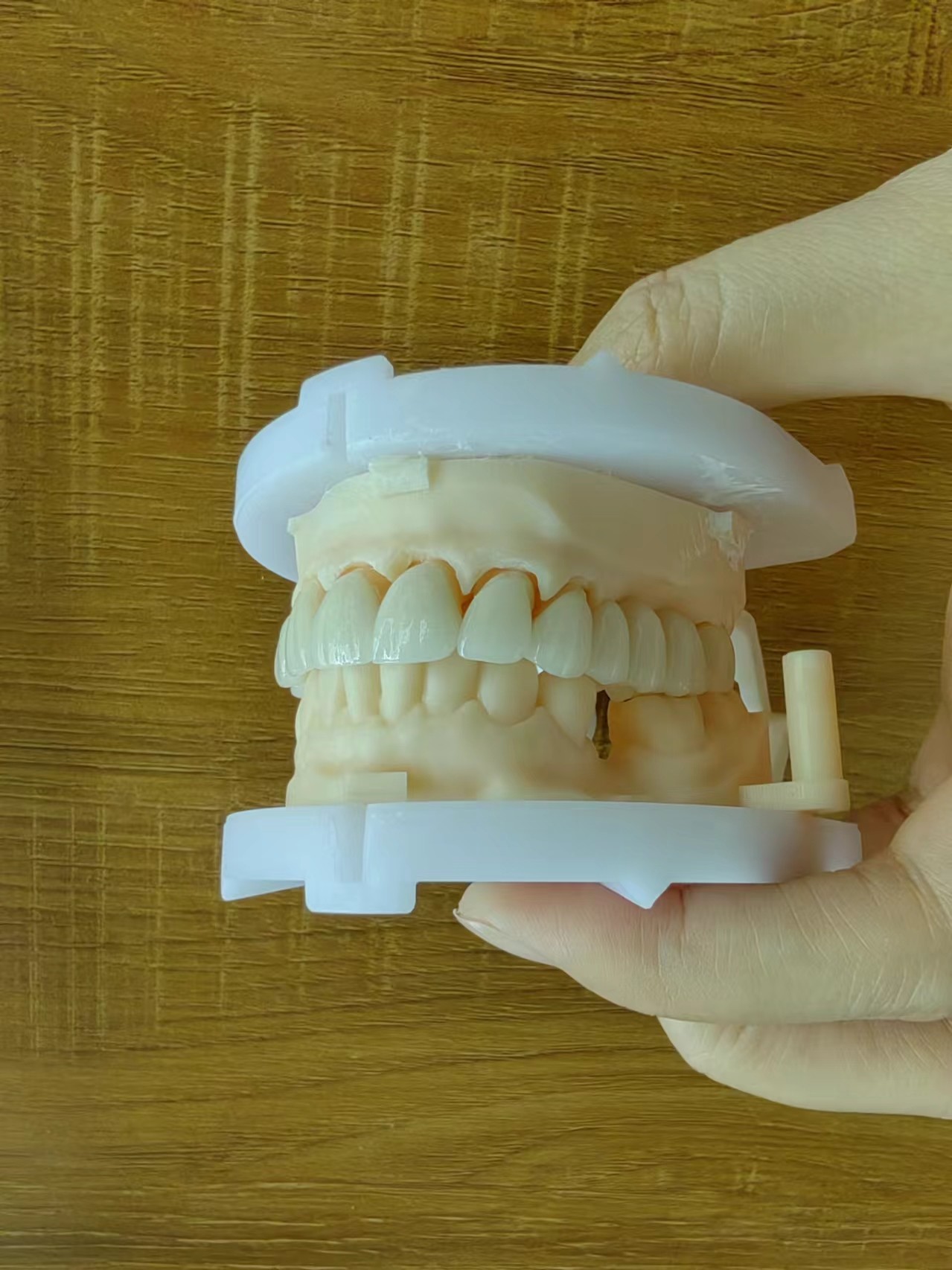 Natural Esthetics Layered Zirconia Crown Bridge For Beautiful Smile And Good Restoration FDA And CE Certification