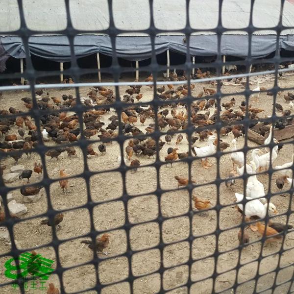 Road Construction Chinese Design Style Outdoor Farm Fence Geocomposite PP