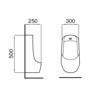 Eco Friendly Hygienic Toilet Urinal Commercial Reduce Water Consumption