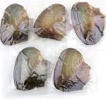 Wholesale Vacuum-packed 7-8mm A grade rice shape freshwater pearl oyster white