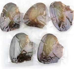 Wholesale Wholesale Vacuum-packed 7-8mm A grade rice shape freshwater pearl oyster white natural Pearl Oyster from china suppliers