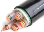 Customized PVC Insulation Armored Control Cable SWA AWA For Power Station