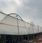 Good Quality Poly Tunnel Green House Low Cost Hot Sale Polytunnel Berry