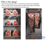 DA-380A Home Dry Aging Fridge , Salami Dry Age Beef Machine 380L Auto Closing