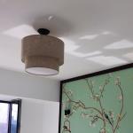 Bedroom Contemporary Dining Room Pendant Light AC265V Switch Control