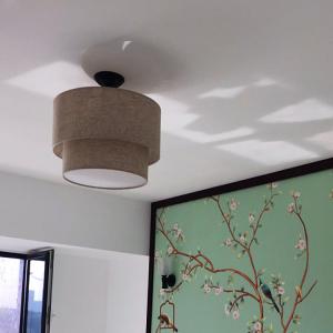 Wholesale Bedroom Contemporary Dining Room Pendant Light AC265V Switch Control from china suppliers