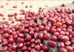 Rich Protein Natural Agricultural Products New Crop Common Small Red Beans