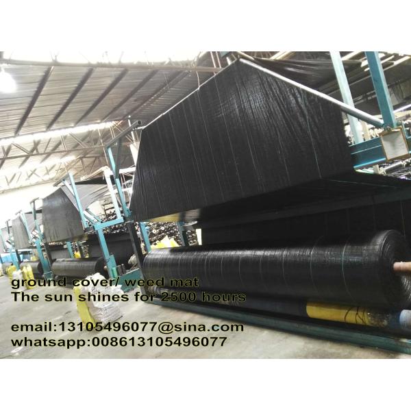 Agricultural pp woven weed mat/weed barrier mat/all new material